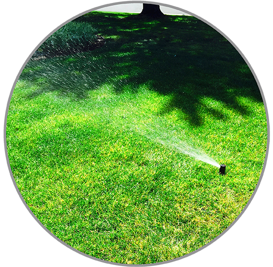 Sprinkler Systems Irrigation
