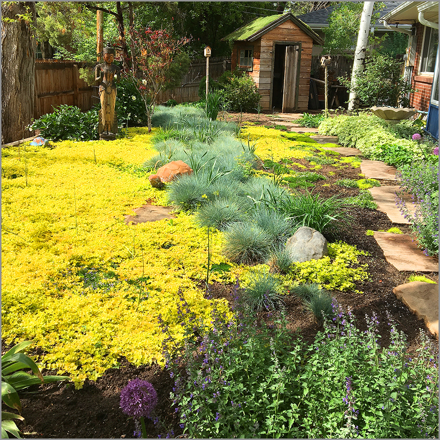 Landscaping