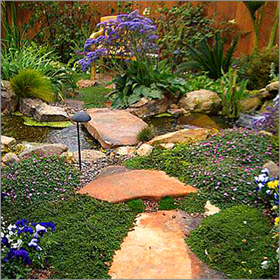 Water Feature